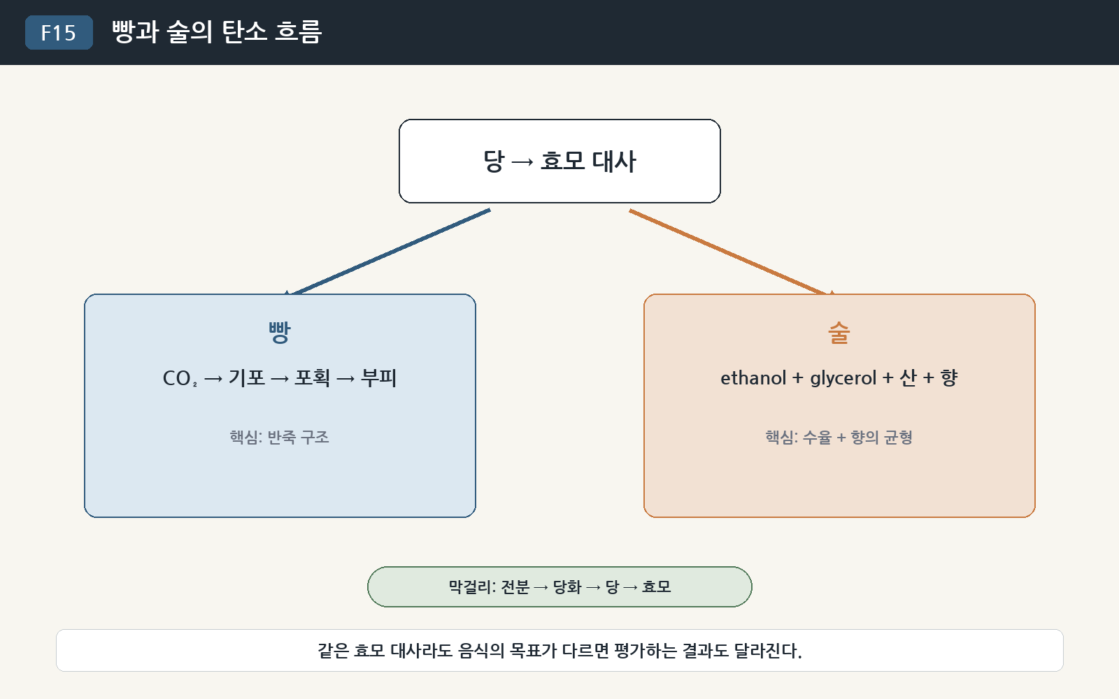 그림 F15. 빵과 술의 탄소 흐름. 같은 효모 대사라도 빵에서는 CO₂ 포획, 술에서는 ethanol과 향 성분의 균형이 핵심 결과가 된다.