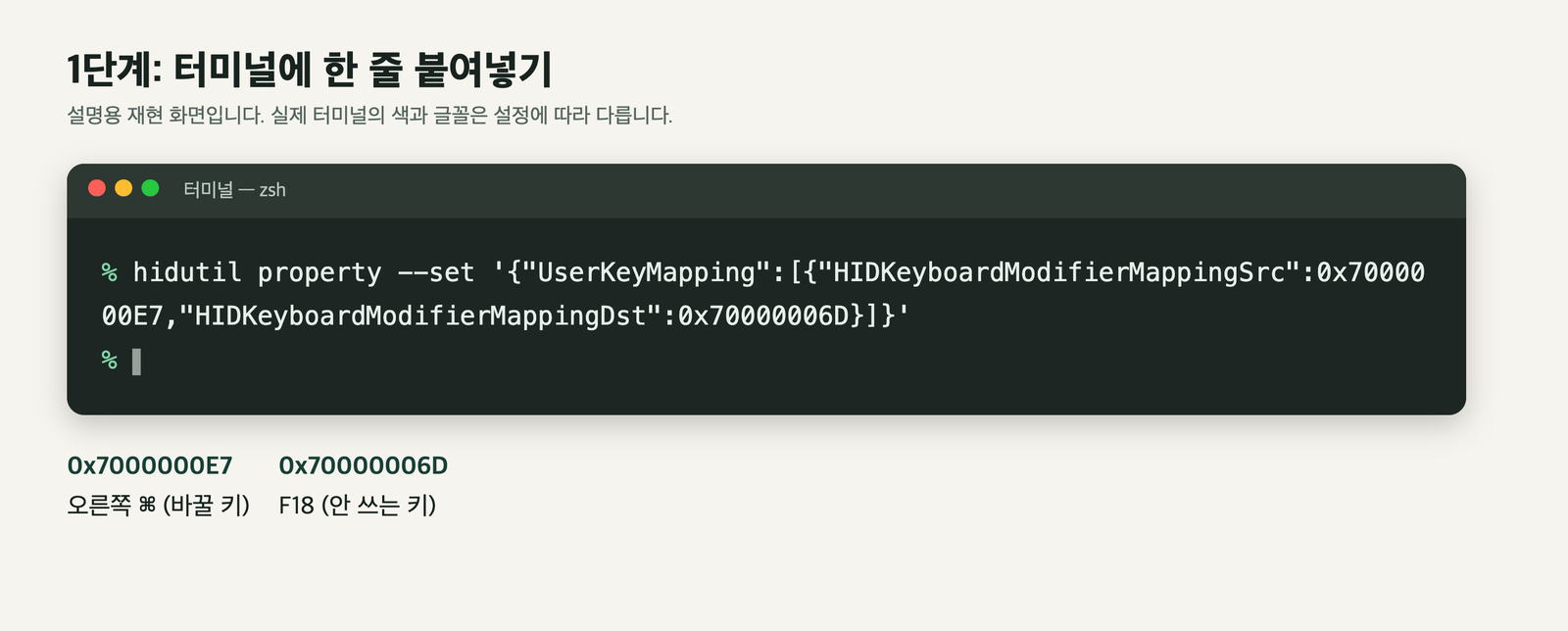 터미널에 hidutil 명령 한 줄을 붙여넣는 모습을 다시 그린 설명용 화면